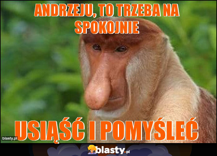 Andrzeju, to trzeba na spokojnie