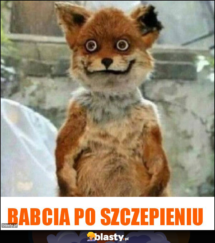 Babcia po szczepieniu Babcia po szczepieniu