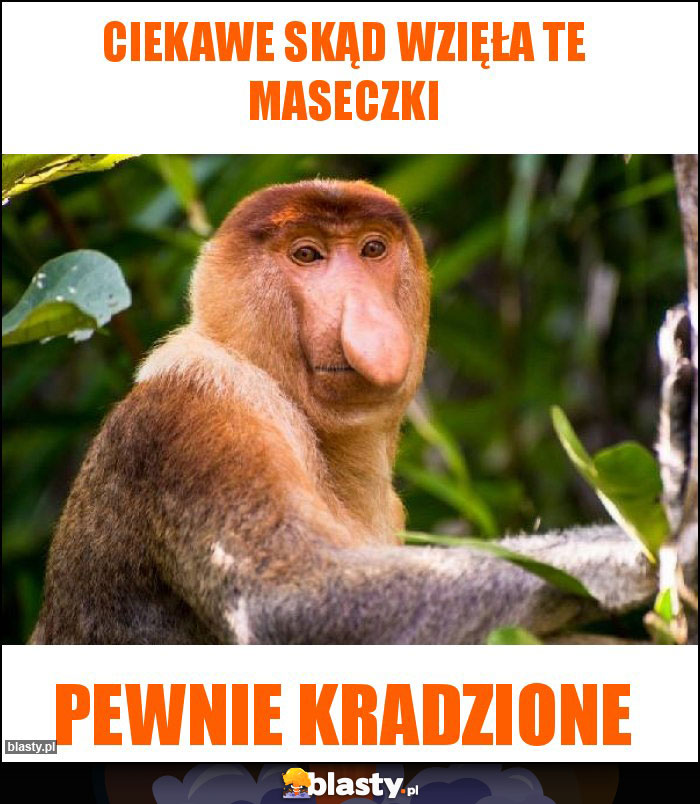 Ciekawe skąd wzięła te maseczki Ciekawe skąd wzięła te maseczki