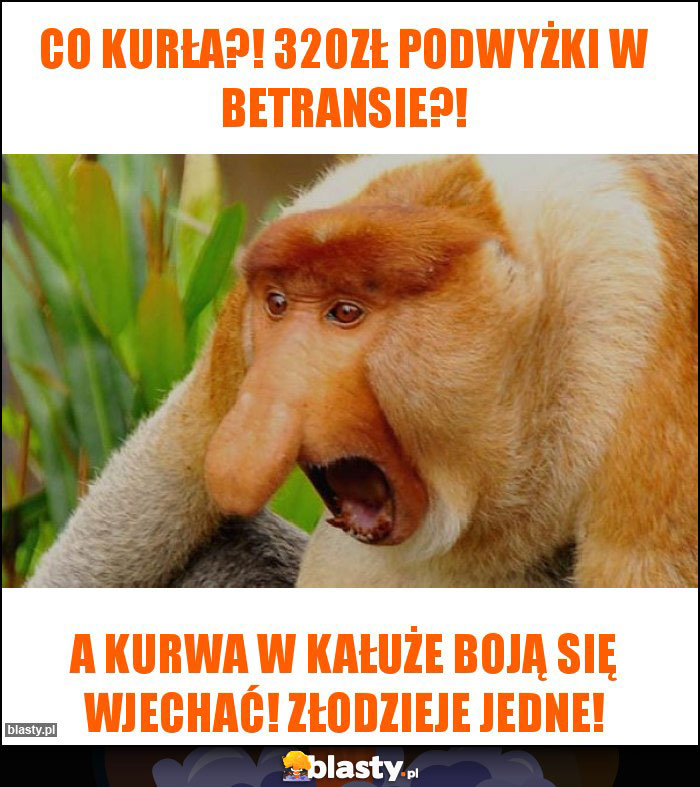 Co kurła?! 320ZŁ podwyżki w betransie?! Co kurła?! 320ZŁ podwyżki w betransie?!