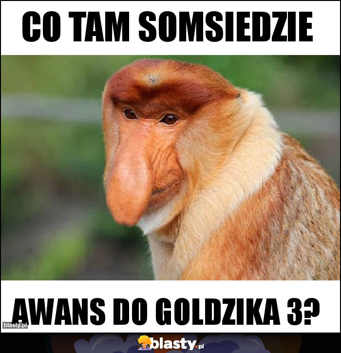 Co tam somsiedzie Co tam somsiedzie