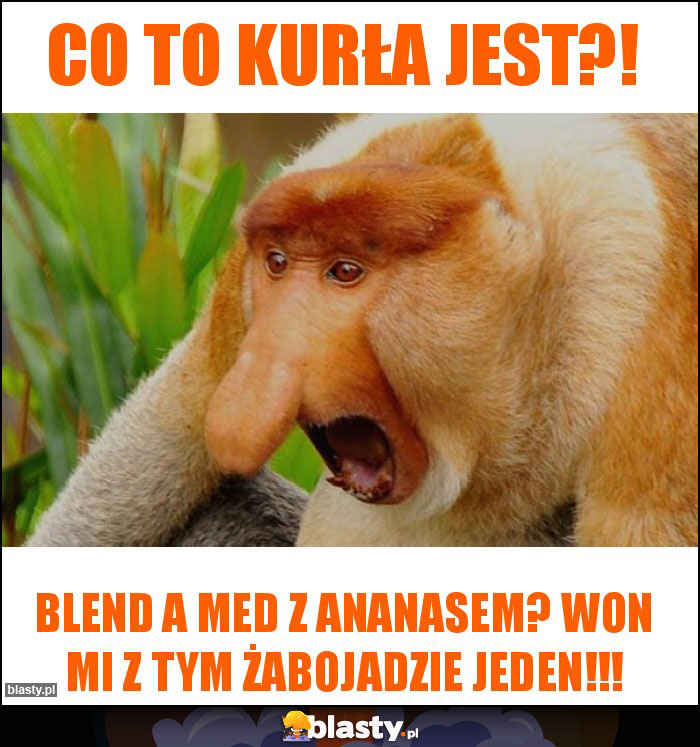 co to kurła jest?! co to kurła jest?!