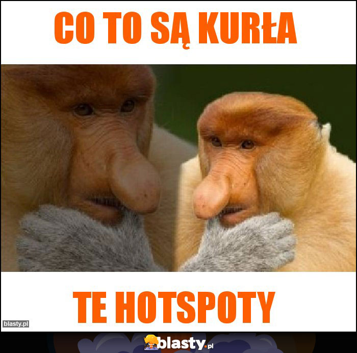 Co to są kurła Co to są kurła