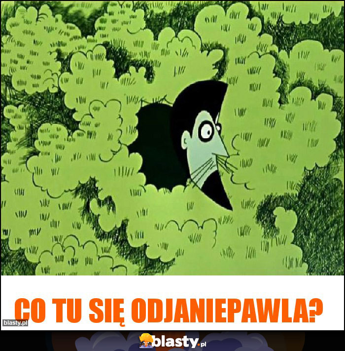 CO tu się odjaniepawla? CO tu się odjaniepawla?