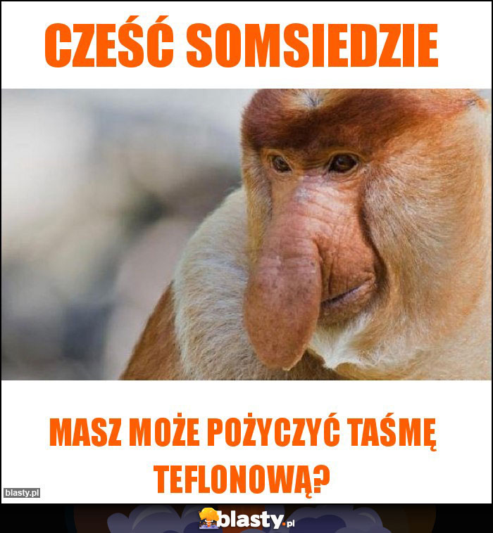 Cześć somsiedzie Cześć somsiedzie