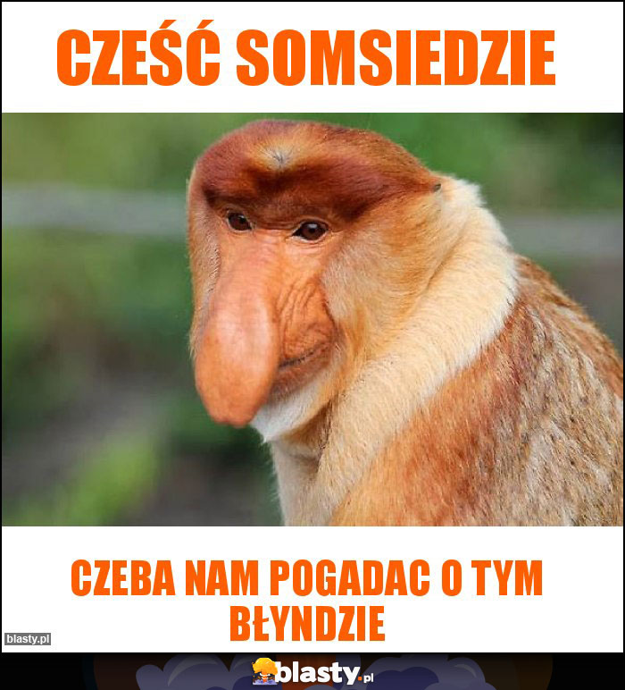 cześć somsiedzie cześć somsiedzie