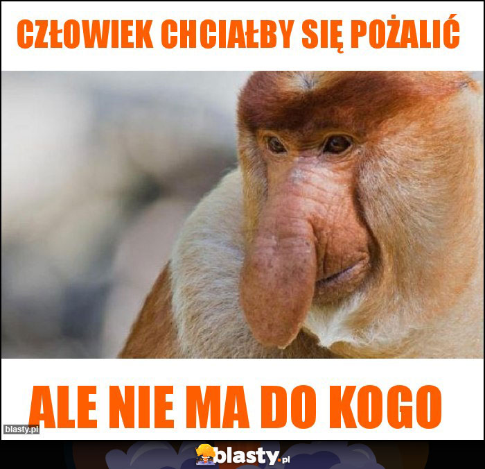 człowiek chciałby się pożalić człowiek chciałby się pożalić