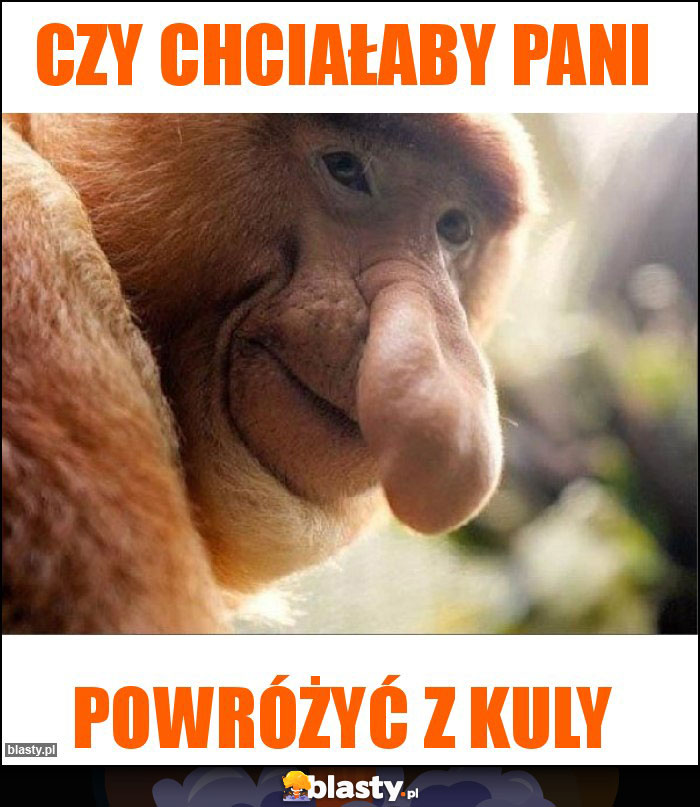 Czy chciałaby pani Czy chciałaby pani