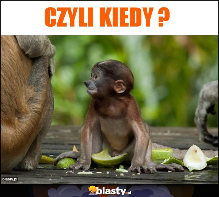 CZYLI KIEDY ? CZYLI KIEDY ?