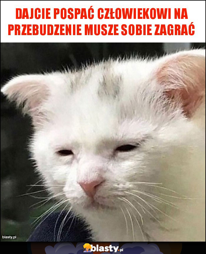 dajcie pospać człowiekowi na przebudzenie musze sobie zagrać dajcie pospać człowiekowi na przebudzenie musze sobie zagrać
