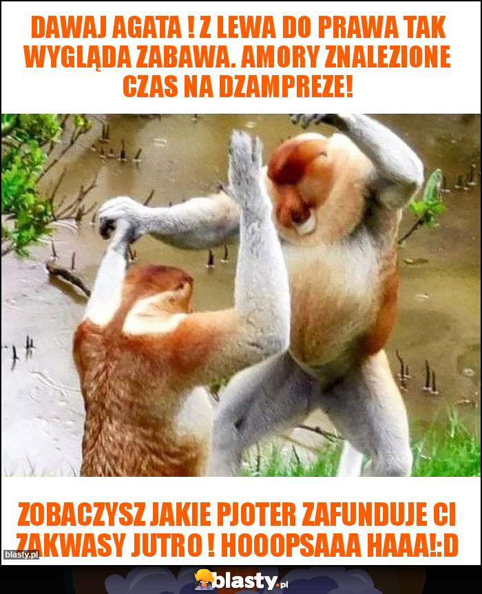 Dawaj Agata ! Z lewa do prawa tak wygląda zabawa. Amory znalezione czas na dzampreze! Dawaj Agata ! Z lewa do prawa tak wygląda zabawa. Amory znalezione czas na dzampreze!