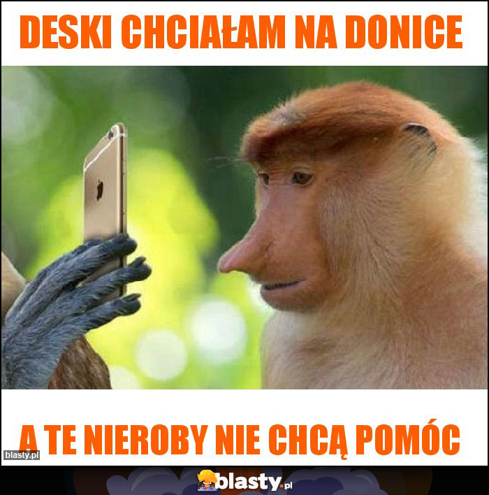 Deski chciałam na donice Deski chciałam na donice