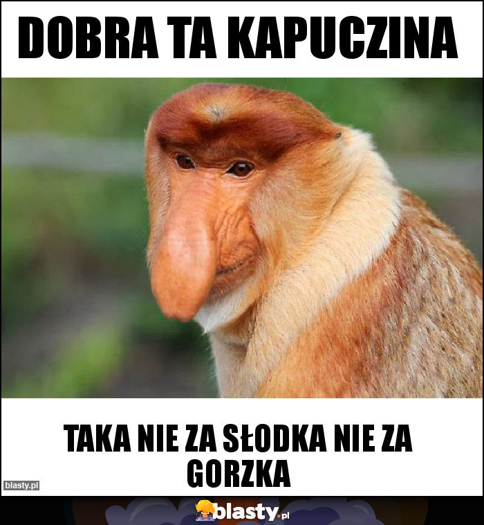 DOBRA TA KAPUCZINA DOBRA TA KAPUCZINA
