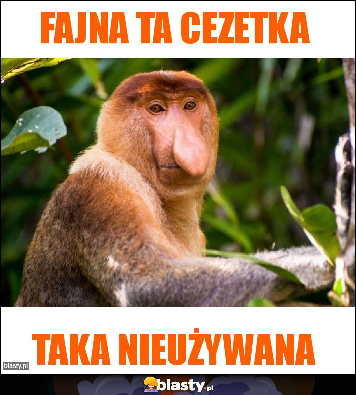 Fajna ta CeZetka Fajna ta CeZetka