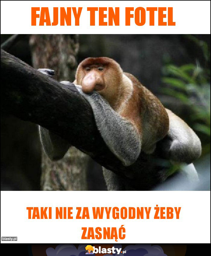 Fajny ten fotel
