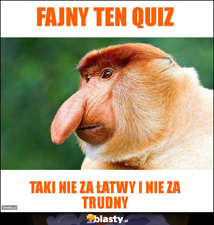 FAJNY TEN QUIZ