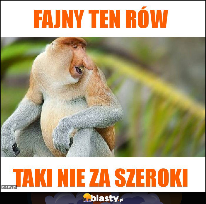 Fajny ten rów Fajny ten rów