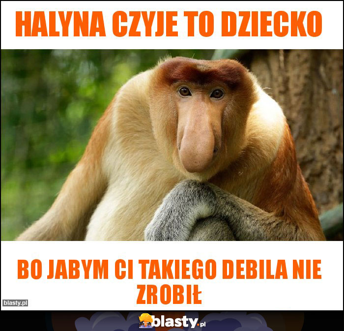 Halyna czyje to dziecko Halyna czyje to dziecko