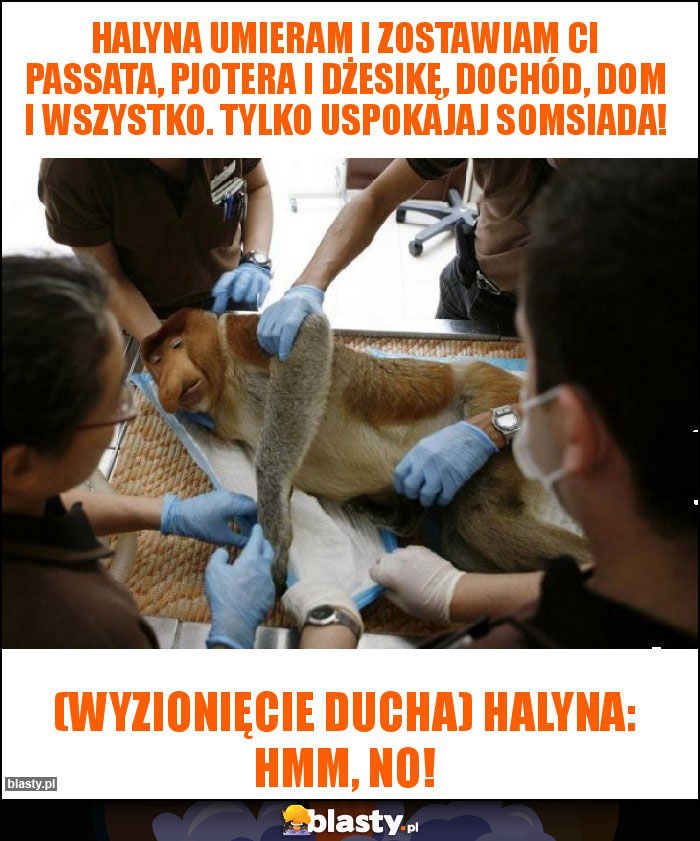 Halyna umieram i zostawiam ci passata, pjotera i dżesikę, dochód, dom i wszystko. Tylko uspokajaj somsiada! Halyna umieram i zostawiam ci passata, pjotera i dżesikę, dochód, dom i wszystko. Tylko uspokajaj somsiada!