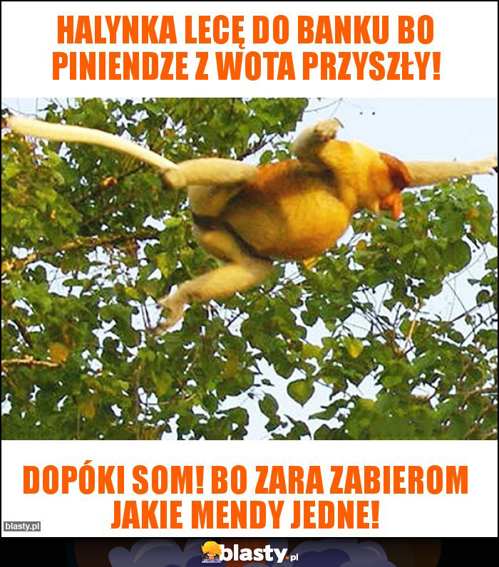 Halynka lecę do banku bo piniendze z WOTa przyszły! Halynka lecę do banku bo piniendze z WOTa przyszły!