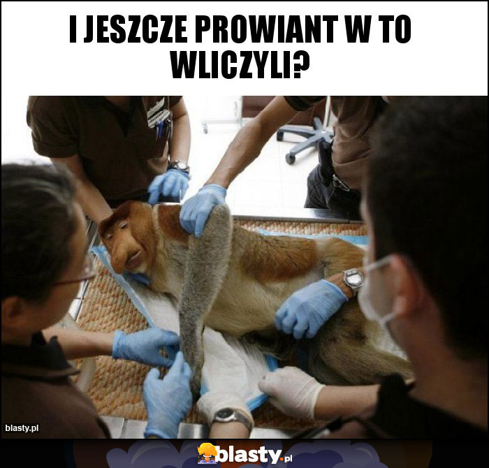 I jeszcze prowiant w to wliczyli? I jeszcze prowiant w to wliczyli?