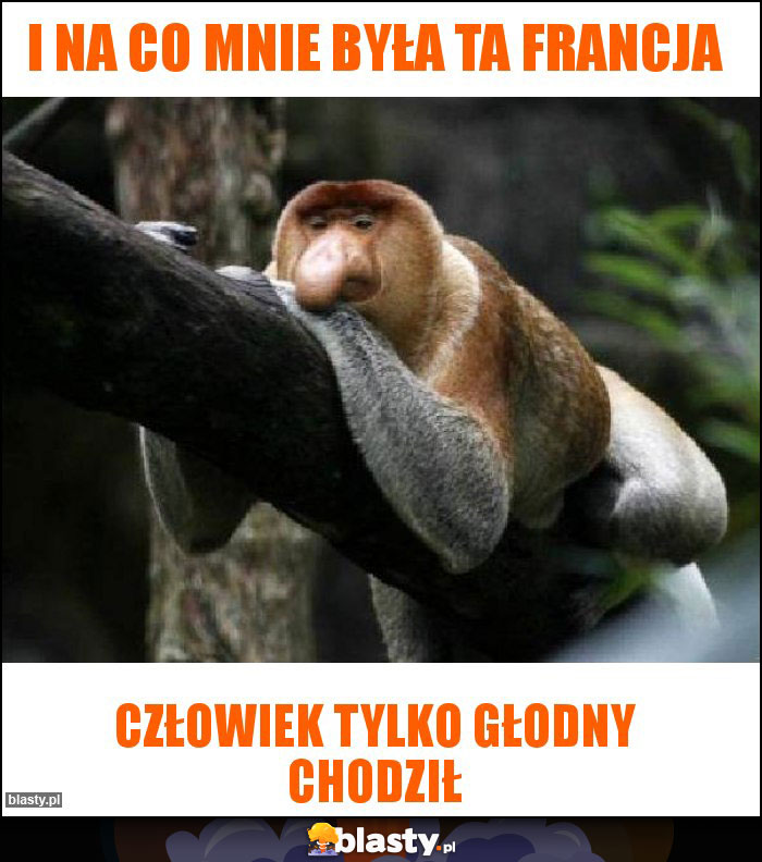 i na co mnie była ta francja i na co mnie była ta francja
