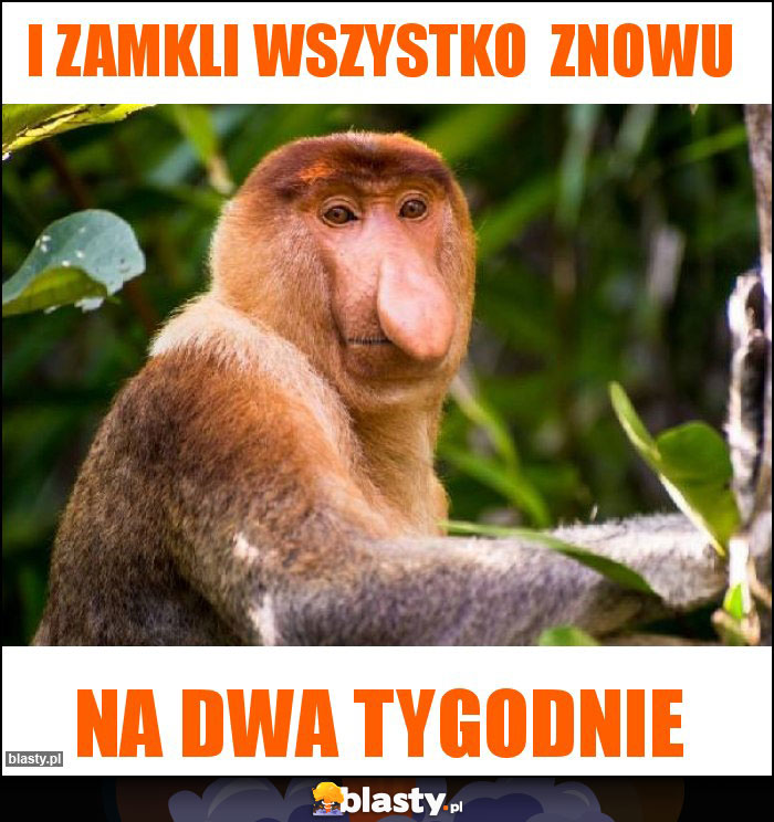 I zamkli wszystko znowu I zamkli wszystko znowu