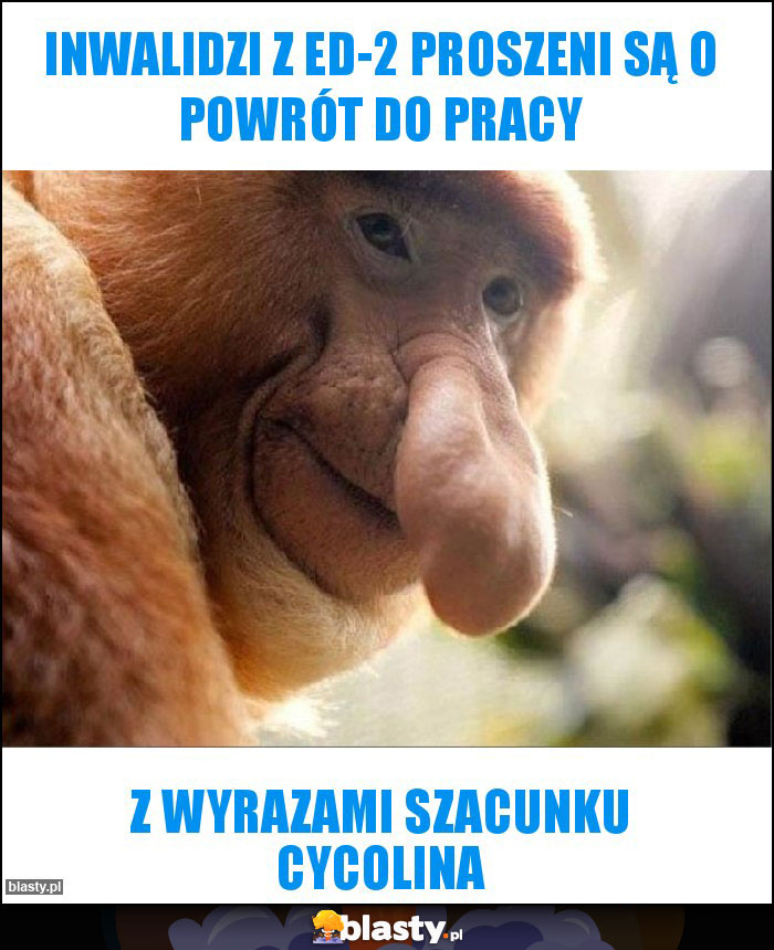 inwalidzi z ed-2 proszeni są o powrót do pracy inwalidzi z ed-2 proszeni są o powrót do pracy