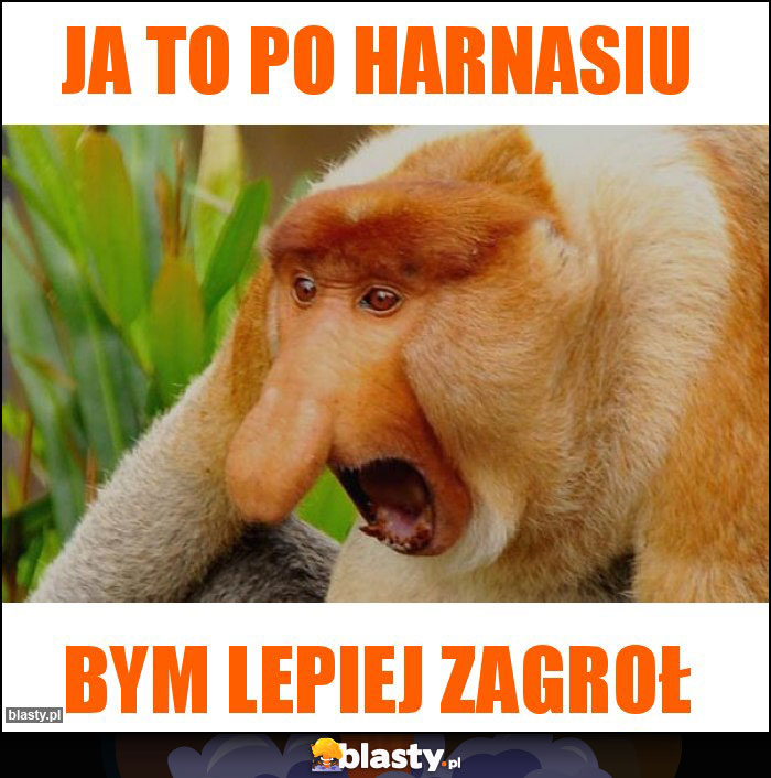 Ja to po harnasiu Ja to po harnasiu