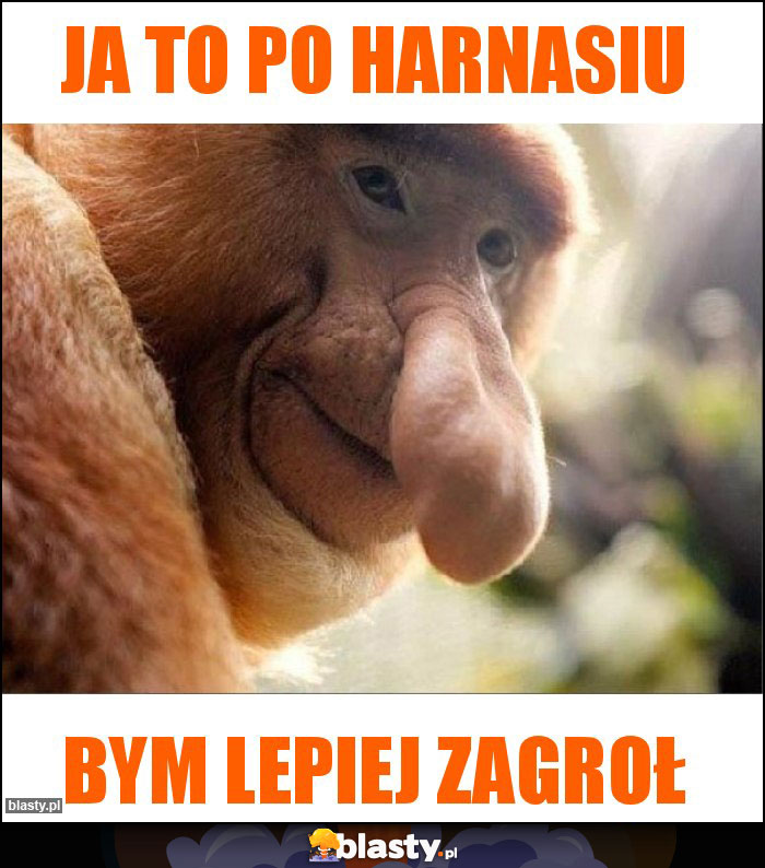 Ja to po harnasiu Ja to po harnasiu