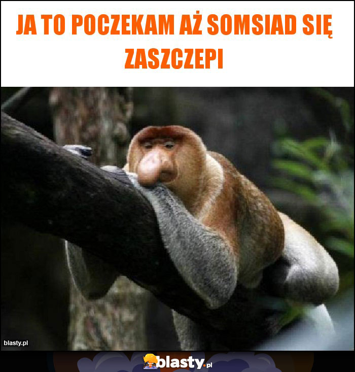 Ja to poczekam aż somsiad się zaszczepi Ja to poczekam aż somsiad się zaszczepi