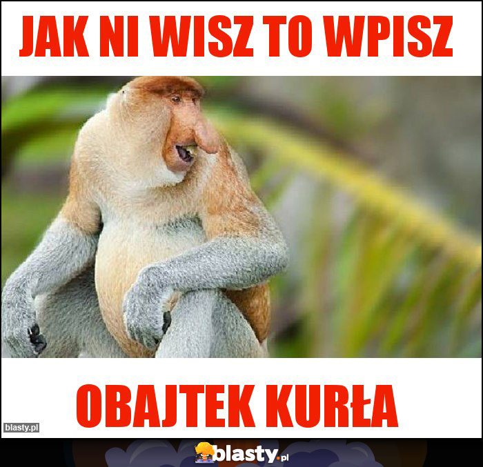 Jak ni Wisz to wpisz Jak ni Wisz to wpisz