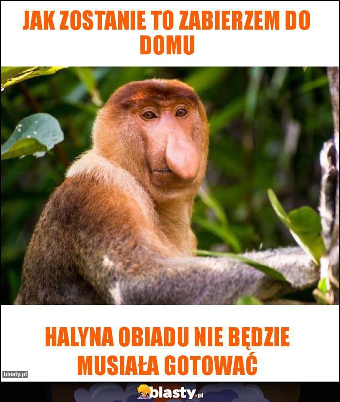 Jak zostanie to zabierzem do domu Jak zostanie to zabierzem do domu