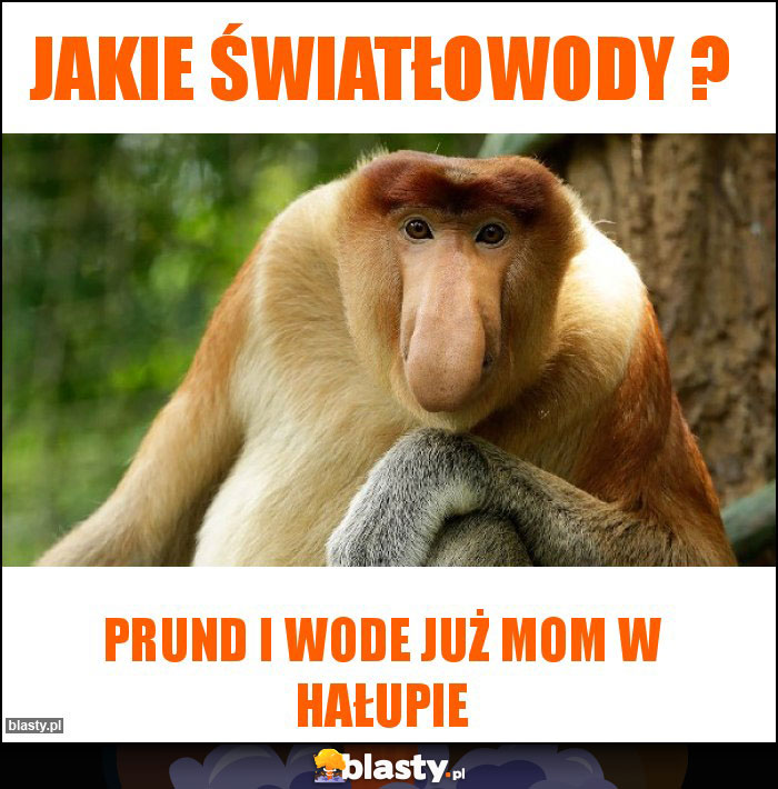 Jakie światłowody ? Jakie światłowody ?
