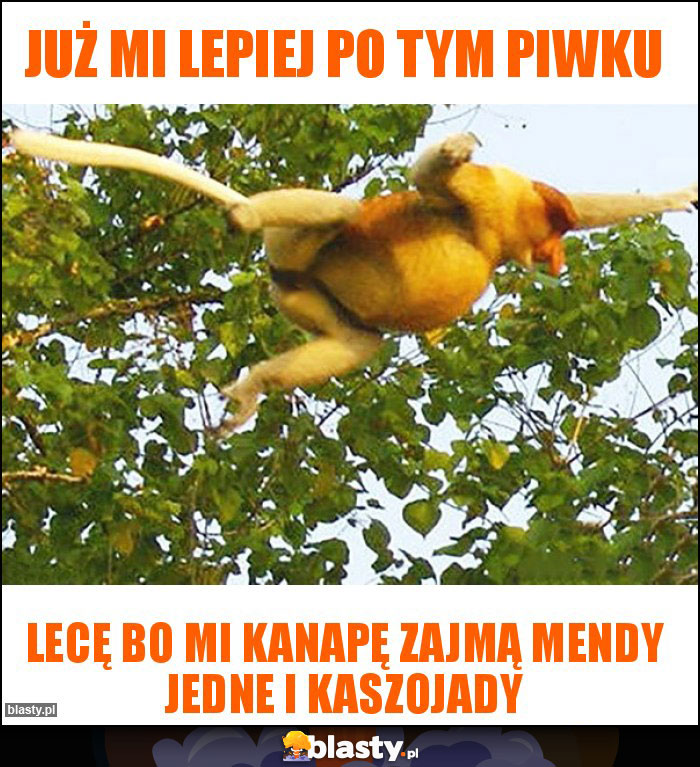 Już mi lepiej po tym piwku Już mi lepiej po tym piwku