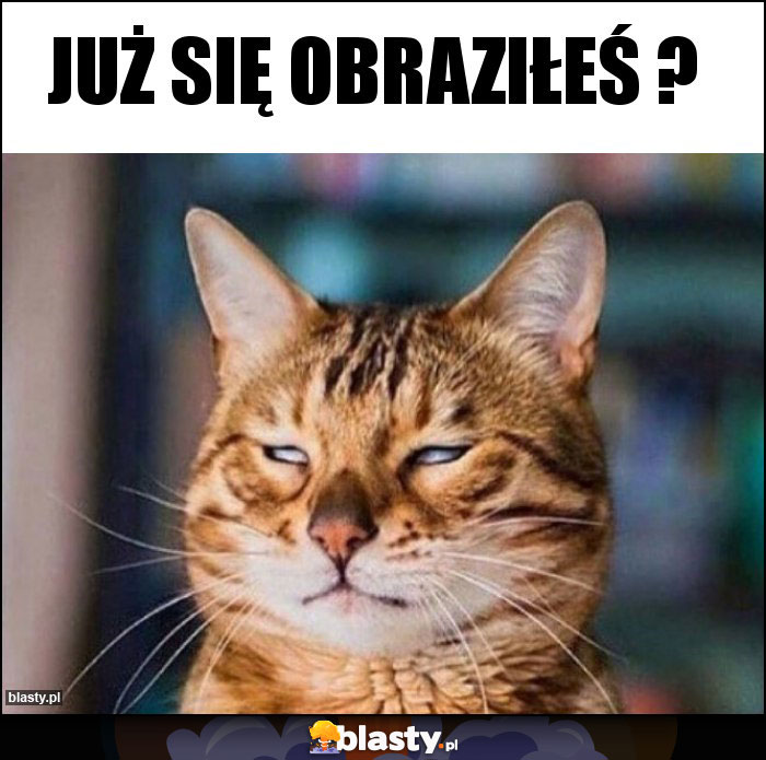 Już się obraziłeś ? Już się obraziłeś ?
