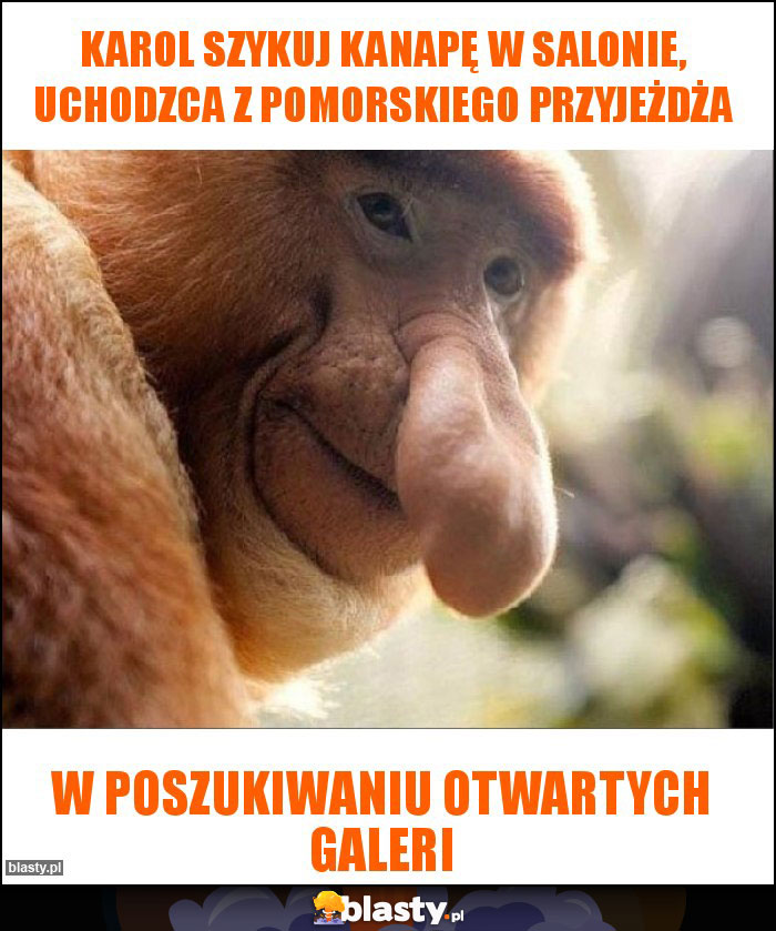 Karol szykuj kanapę w salonie, uchodzca z pomorskiego przyjeżdża Karol szykuj kanapę w salonie, uchodzca z pomorskiego przyjeżdża