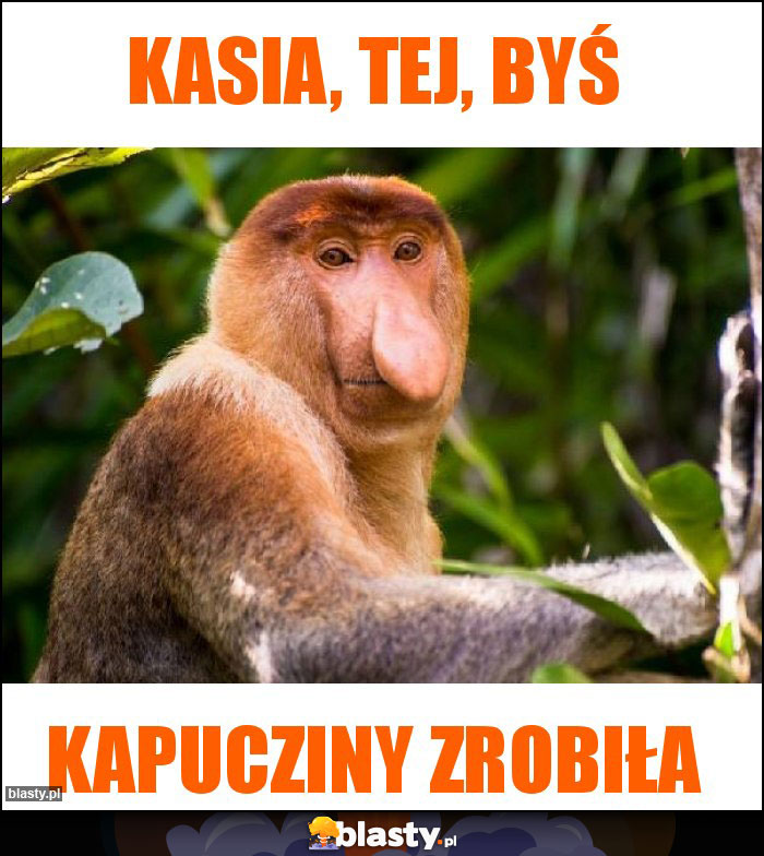 KASIA, TEJ, BYŚ KASIA, TEJ, BYŚ