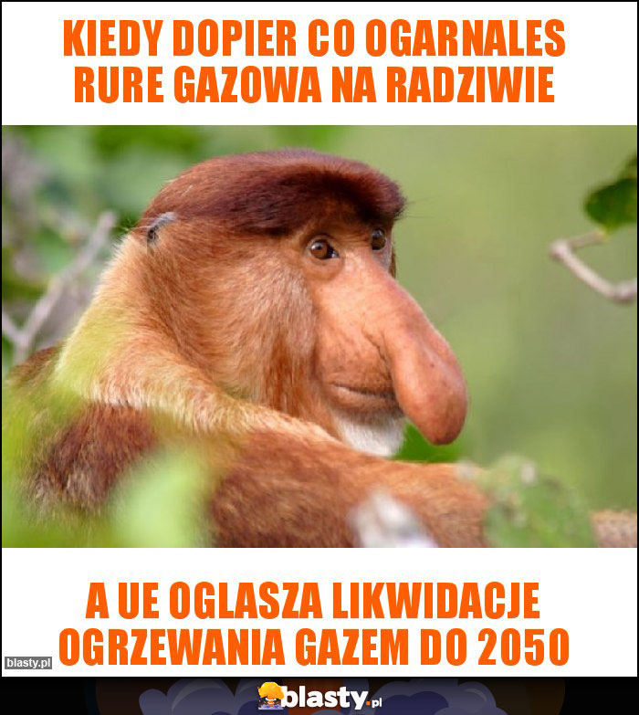 Kiedy dopier co ogarnales rure gazowa na radziwie Kiedy dopier co ogarnales rure gazowa na radziwie