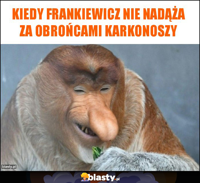 KIEDY FRANKIEWICZ NIE NADĄŻA ZA OBROŃCAMI KARKONOSZY KIEDY FRANKIEWICZ NIE NADĄŻA ZA OBROŃCAMI KARKONOSZY