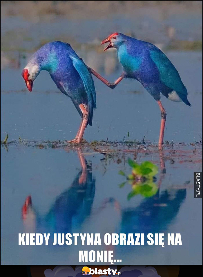Kiedy Justyna obrazi się na Monię... Kiedy Justyna obrazi się na Monię...