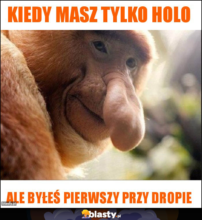 Kiedy masz tylko holo Kiedy masz tylko holo