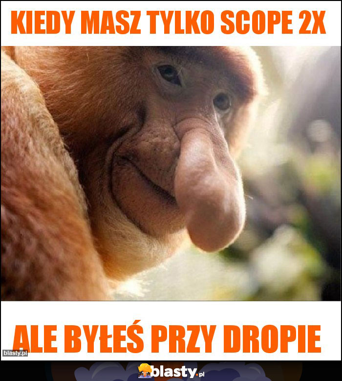 Kiedy masz tylko scope 2x Kiedy masz tylko scope 2x