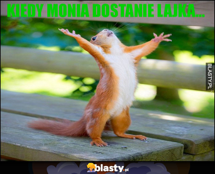 Kiedy Monia dostanie lajka... Kiedy Monia dostanie lajka...