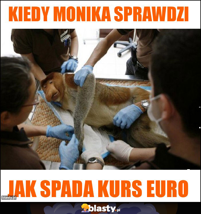 Kiedy Monika sprawdzi