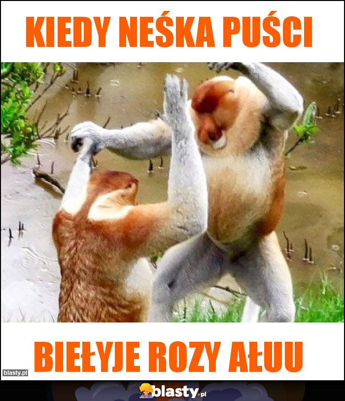 KIEDY NEŚKA PUŚCI KIEDY NEŚKA PUŚCI
