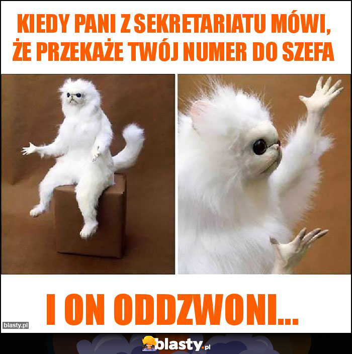 Kiedy Pani z sekretariatu mówi, że przekaże Twój numer do szefa