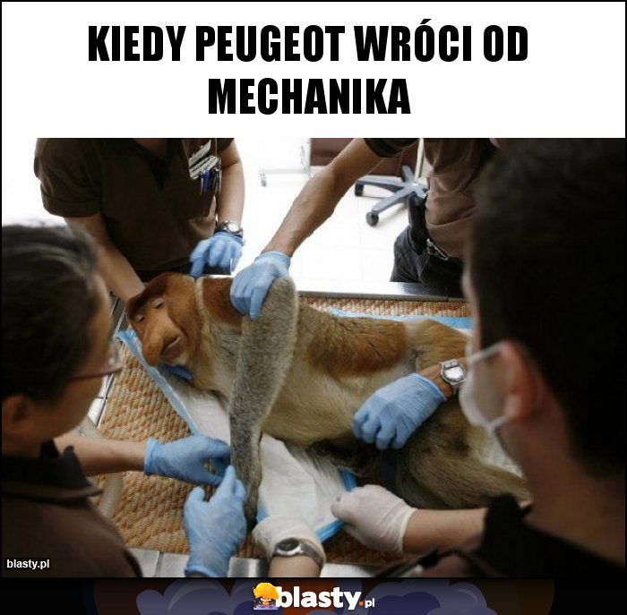 Kiedy peugeot wróci od mechanika Kiedy peugeot wróci od mechanika