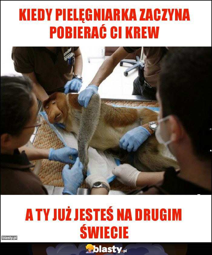 Kiedy pielęgniarka zaczyna pobierać Ci krew Kiedy pielęgniarka zaczyna pobierać Ci krew