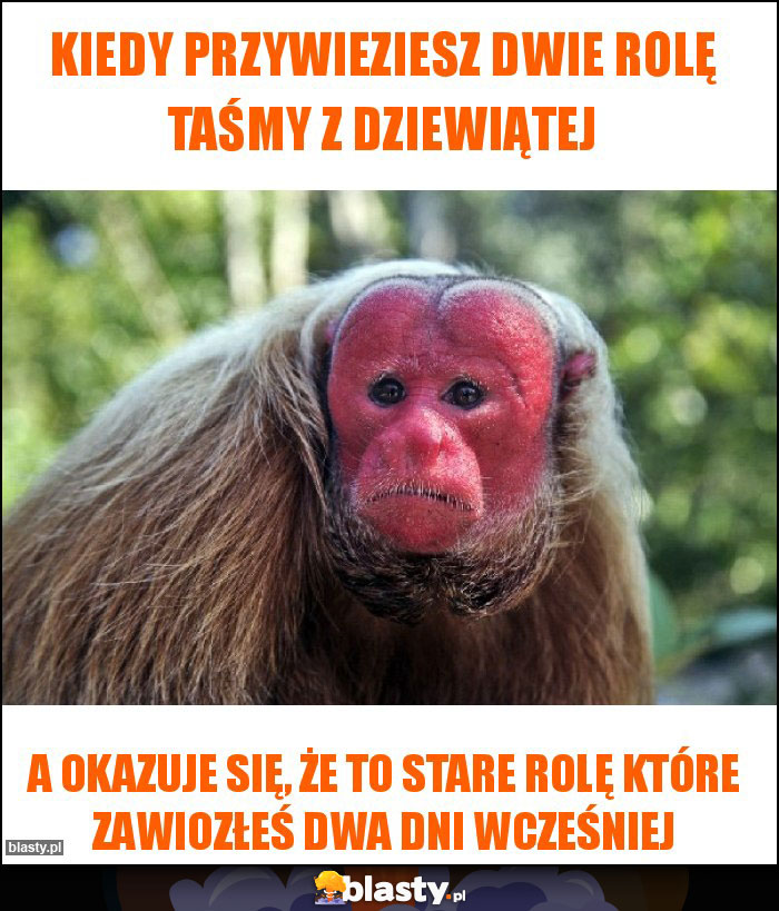 Kiedy przywieziesz dwie rolę taśmy z dziewiątej Kiedy przywieziesz dwie rolę taśmy z dziewiątej